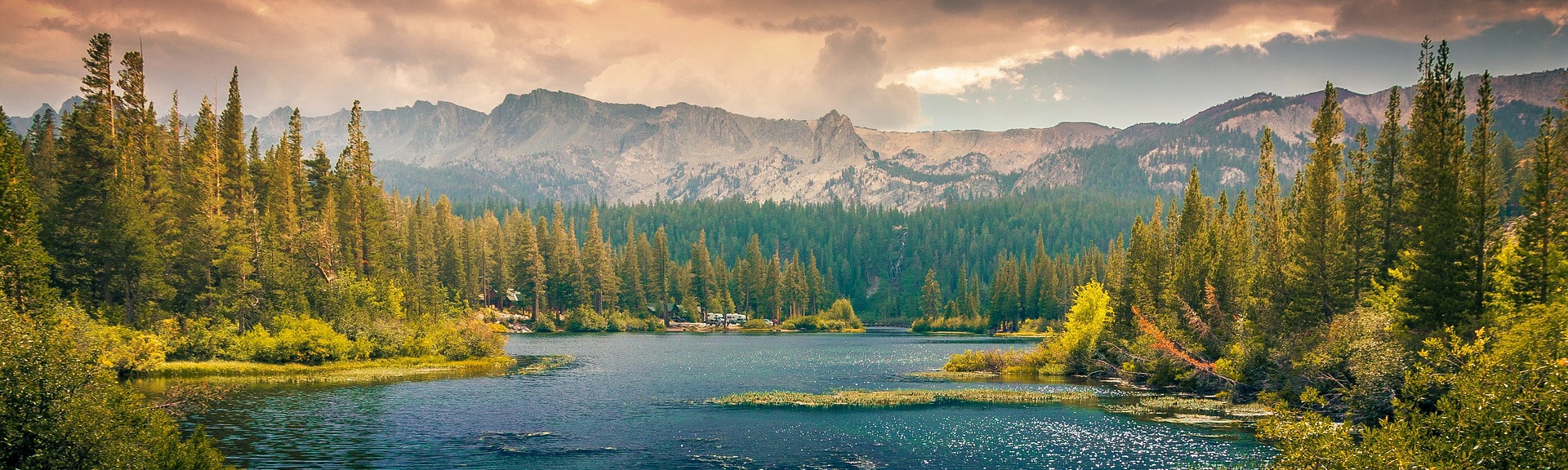 지티마스터스의 담아두는 정보